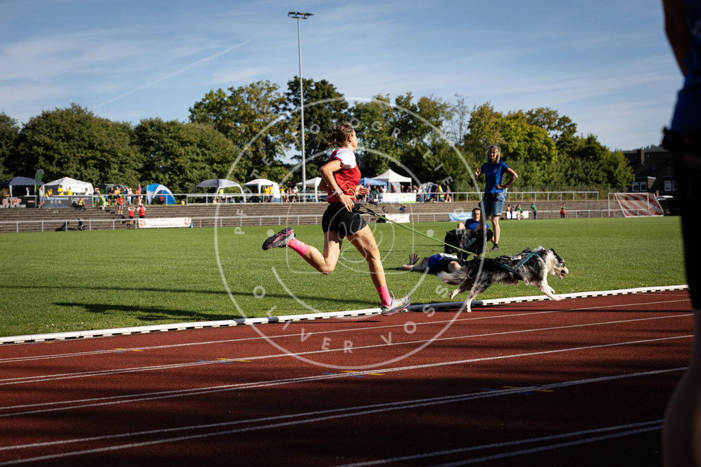 Pfotenfotografie_DV3A9315 | Hundefotografie, Tierfotograf, Pfotenfotografie, Fotoshooting Hund, Hunde Portrait, Hundesport, Hundeportraits, Heideshooting, Hunde, Sportfotograf, Hundefotograf, Turnierhundsport, THS,  - Realisiert mit Pictrs.com