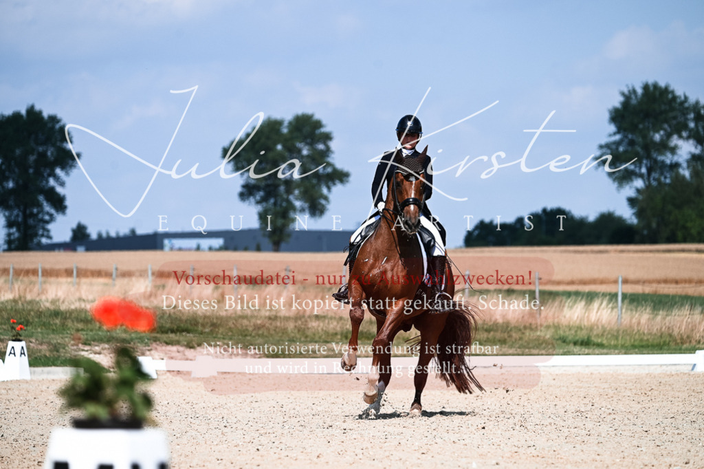 DSC_2874 | Pferde- und Turnierfotografie in Westsachsen. Pferdeportraits, Auftragszeichnungen und intuitive Kunst.