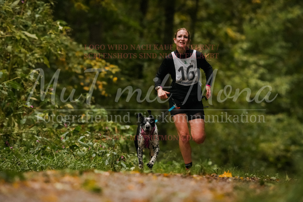 20251005_THS_Turnier-144 | MuT (Mensch und Tier) mit Mona - Fotografie und Tierkommunikation - Realisiert mit Pictrs.com