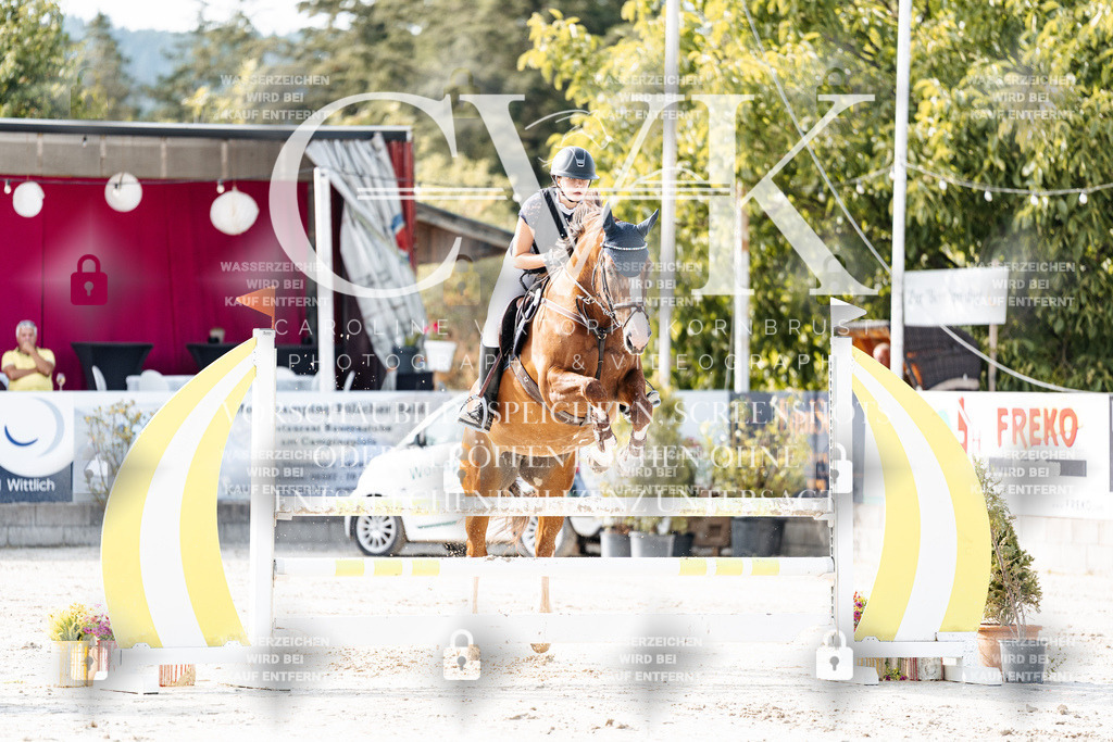 CK905723 | Turnierfotografie Pferdefotografie Trier Rheinland-Pfalz Pferdesport Reitsport Tierfotografie Sportfotografie Pferdevideo Pferdevideografie Equestrianvideography equestrianphotography  - Realisiert mit Pictrs.com