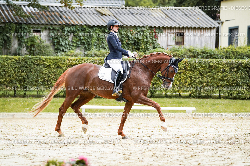 DSC06957 | Pferdegrafie