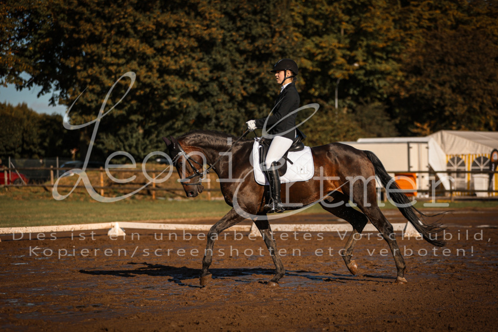 13.SoDrA100211 | Leoni Ertmer Photography - Realisiert mit Pictrs.com