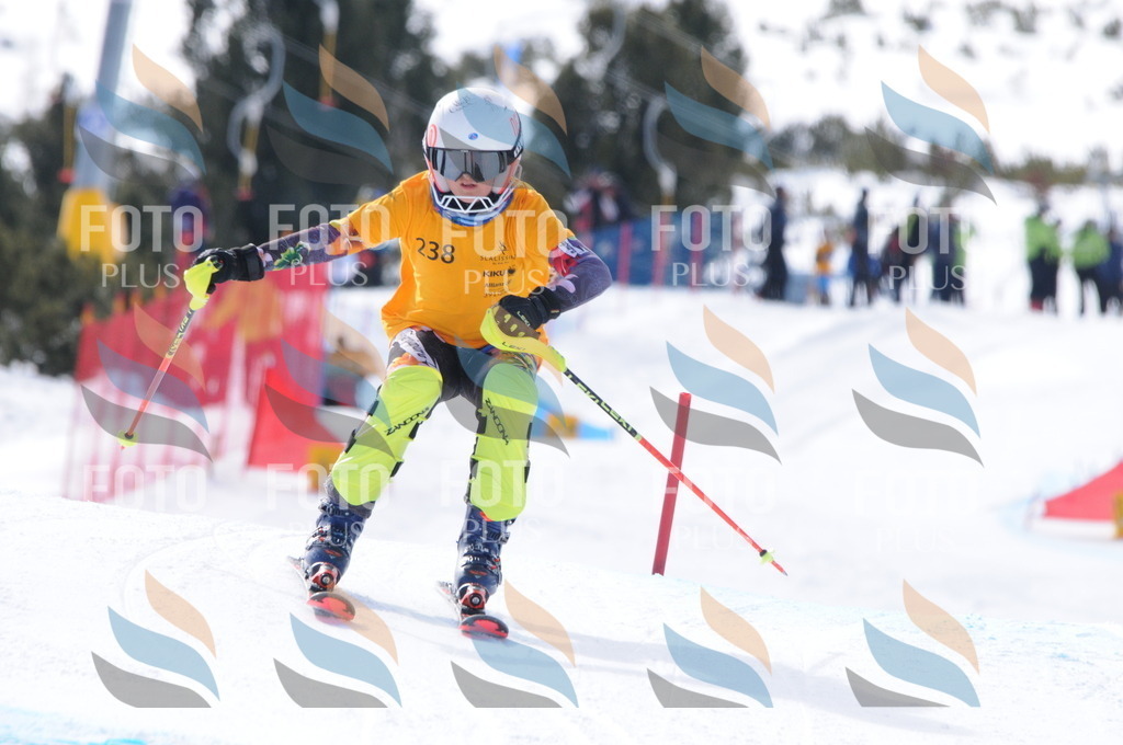 C8794 | holidayphoto