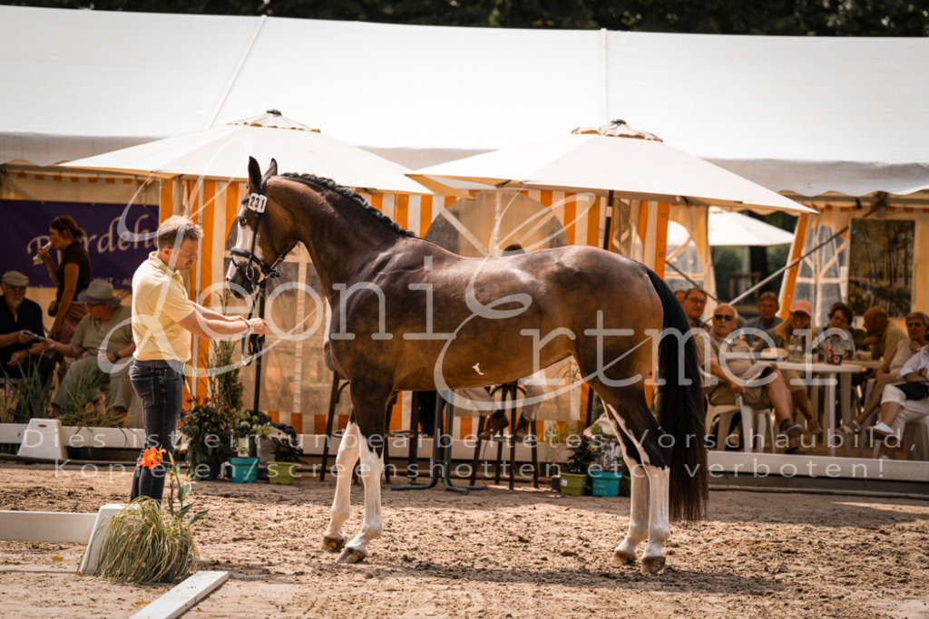 2. Fr00153 | Leoni Ertmer Photography - Realisiert mit Pictrs.com