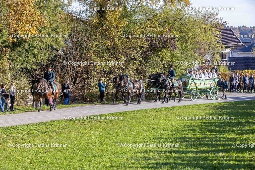 LBT24-156 | foto-bettina-krinner - Realisiert mit Pictrs.com