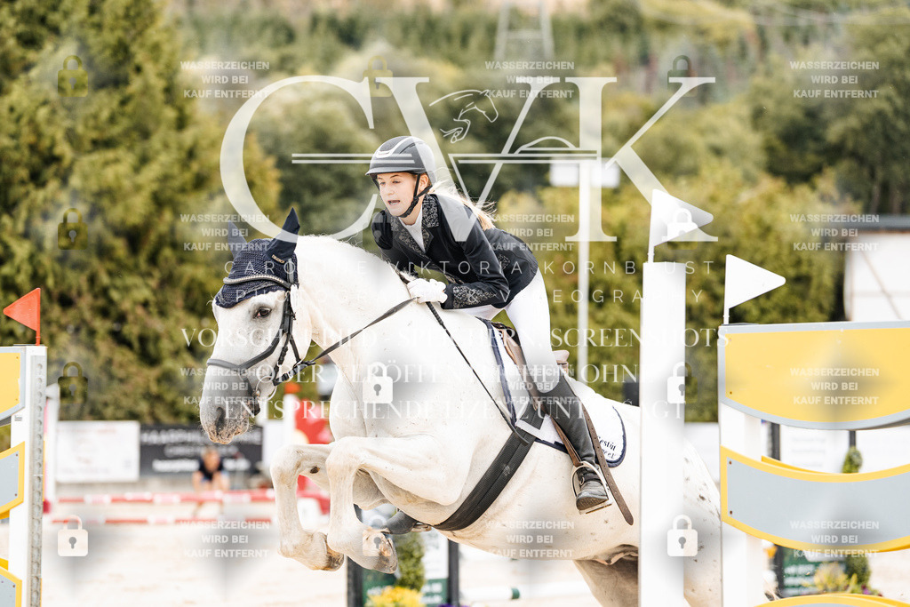 CK908320 | Turnierfotografie Pferdefotografie Trier Rheinland-Pfalz Pferdesport Reitsport Tierfotografie Sportfotografie Pferdevideo Pferdevideografie Equestrianvideography equestrianphotography  - Realisiert mit Pictrs.com
