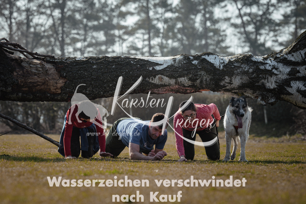 1137_ZZ95416 | kk-dogfotos