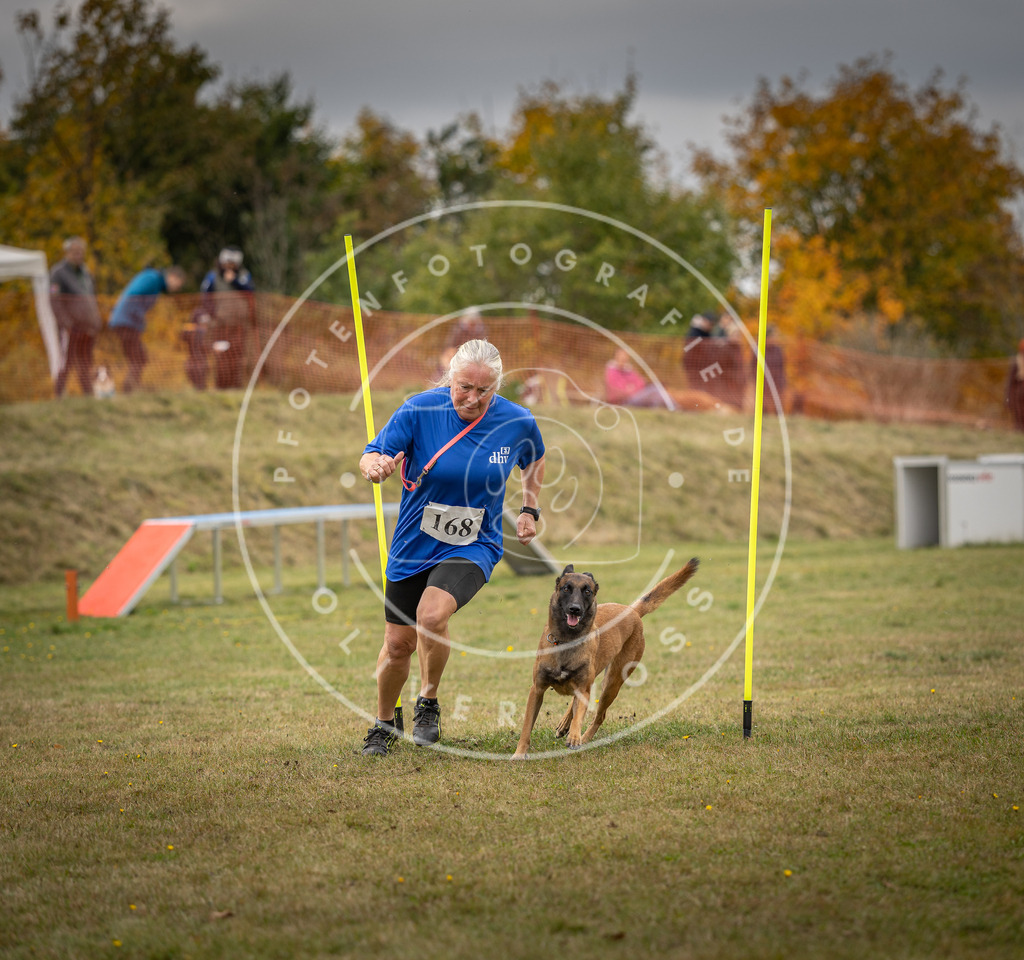 Pfotenfotografie_DV3A5947 | Hundefotografie, Tierfotograf, Pfotenfotografie, Fotoshooting Hund, Hunde Portrait, Hundesport, Hundeportraits, Heideshooting, Hunde, Sportfotograf, Hundefotograf, Turnierhundsport, THS,  - Realisiert mit Pictrs.com
