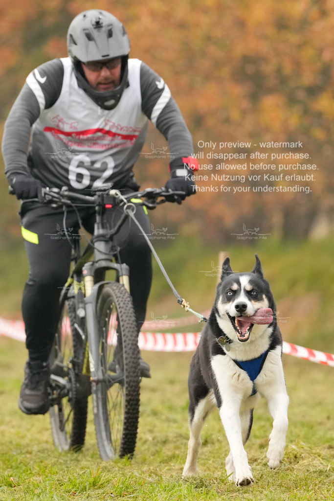 AusschnitteSa-116 | stephaniefillaphotographie - Realisiert mit Pictrs.com