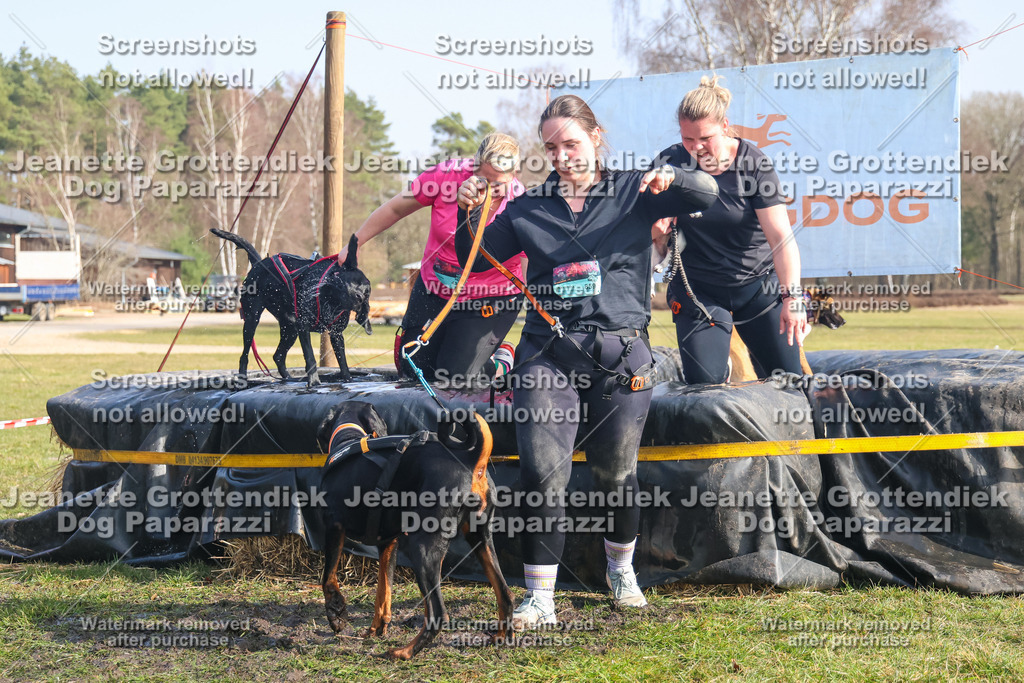 Dog Paparazzi - Strongdog North Mrz26-2016 | Dog Paparazzi Jeanette Grottendiek Fotografie & Videografie - Realisiert mit Pictrs.com