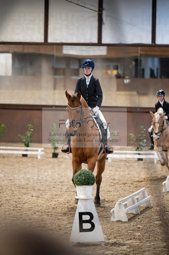 Hallenreittunier Voxtrup 2023 | Entdecke hochwertige Reitturnierfotos von Foto Oger. Professionell, emotional und authentisch – jetzt Lieblingsmomente im Shop bestellen.Deutschlandweite Turnierfotografie. - Realisiert mit Pictrs.com