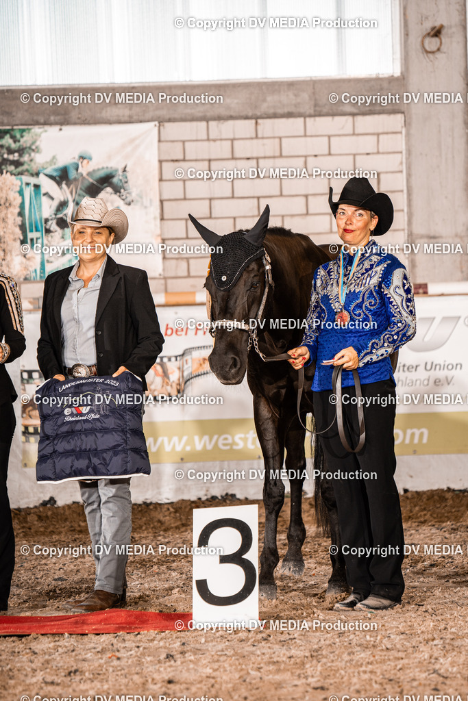 ZH100079 | dv-media-shop - Realisiert mit Pictrs.com