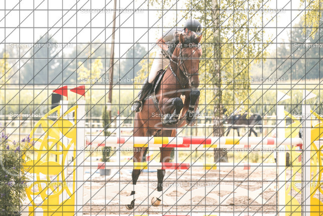 _W6A1698 | ronjaprokoschfotografie - Realisiert mit Pictrs.com
