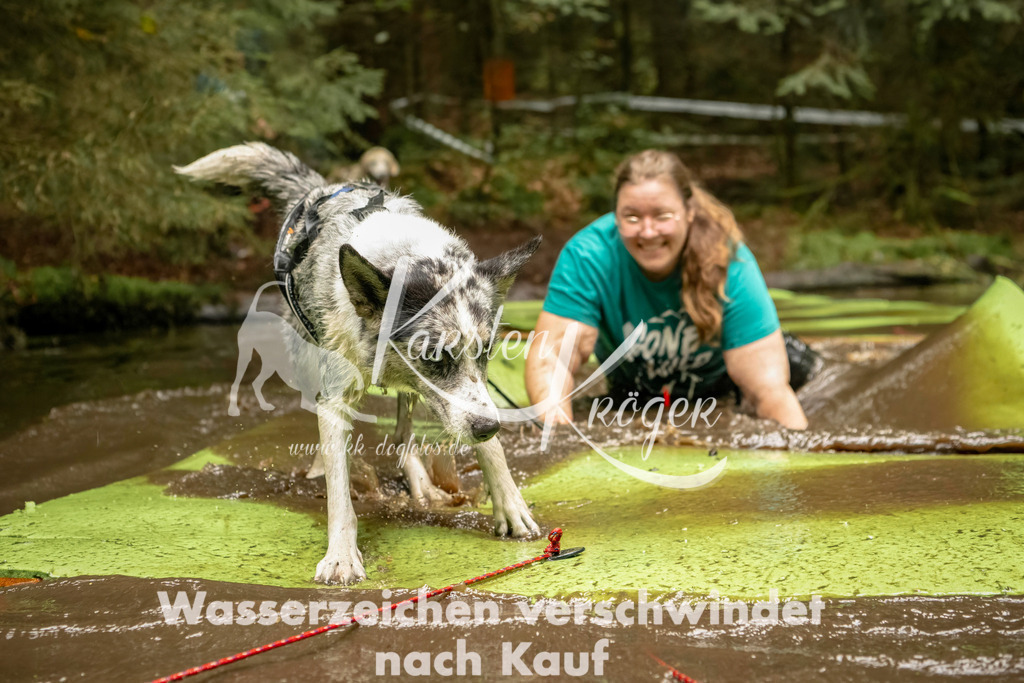 1204_ZZ92564-Bearbeitet | kk-dogfotos