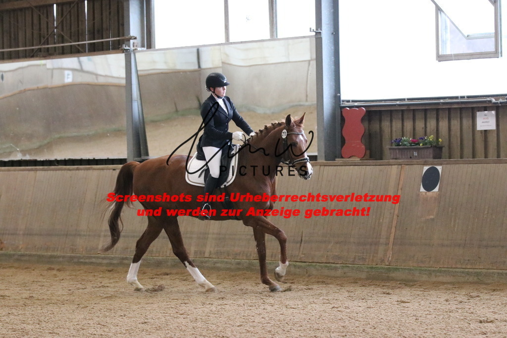 IMG_6450 | lmwpictures - Realisiert mit Pictrs.com