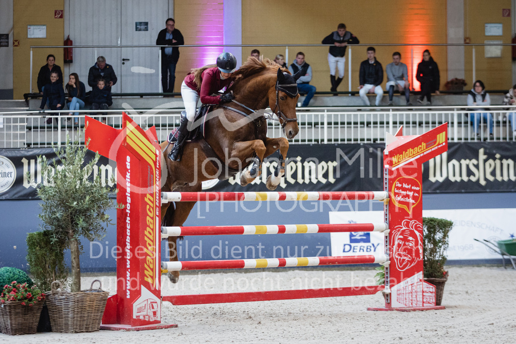 221023_Warstein_S1-Spr-328 | Deine schönsten Turniermomente als professionelle Fotos! Entdecke hochwertige Pferdesport-Fotografie im Online-Shop. Jetzt Fotos finden & bestellen!