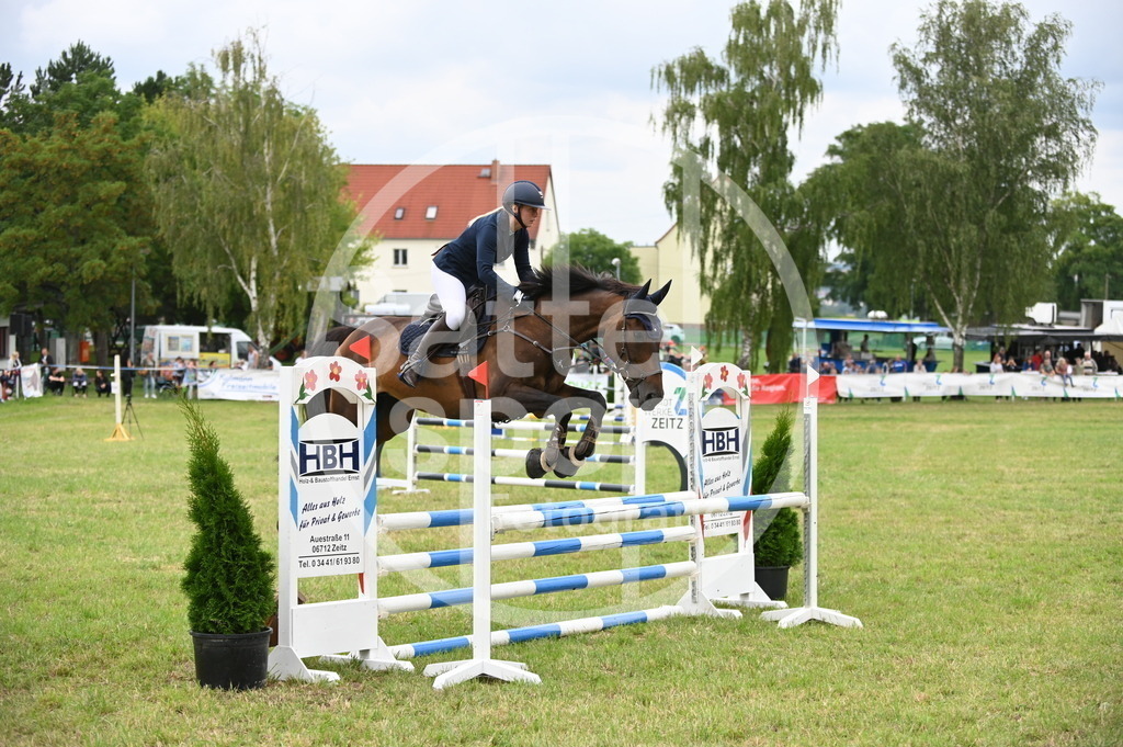 DSC_1322 | sattelsport - Realisiert mit Pictrs.com