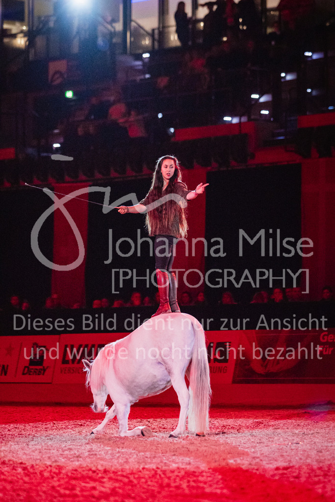 241102_Oldenburg_Show-338 | Deine schönsten Turniermomente als professionelle Fotos! Entdecke hochwertige Pferdesport-Fotografie im Online-Shop. Jetzt Fotos finden & bestellen!