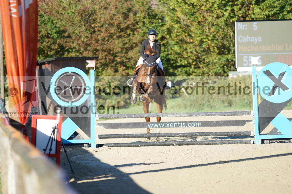 DSC08086 | equestrian-live-com