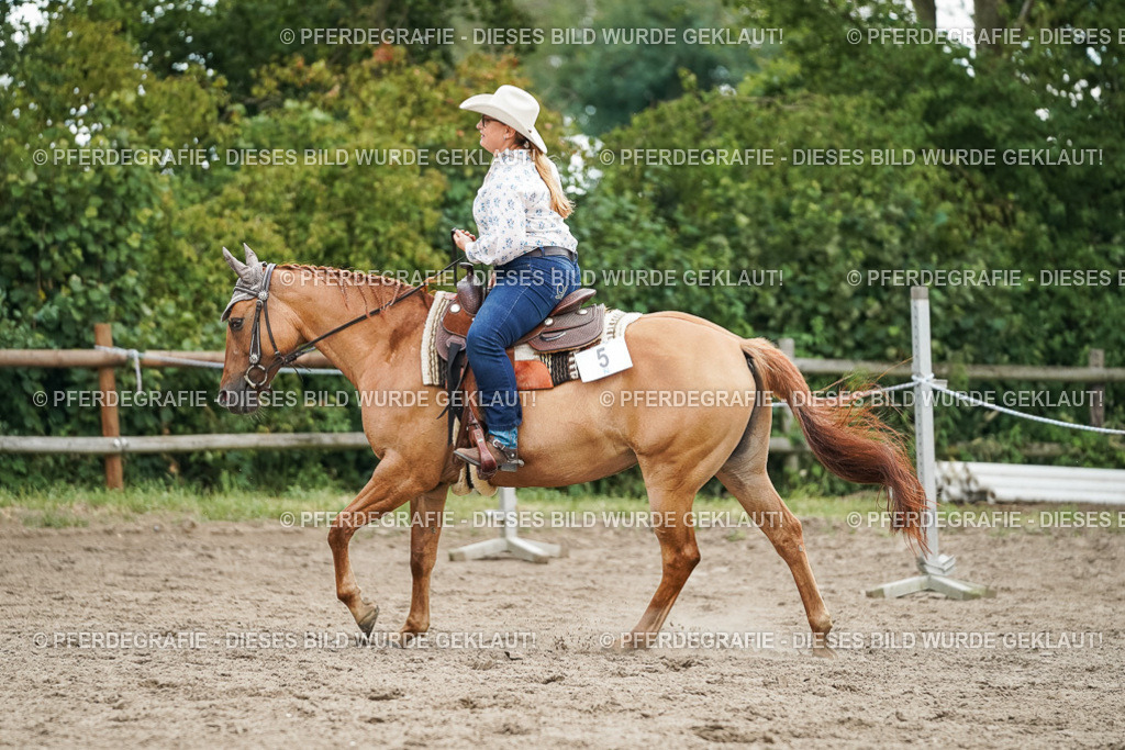 DSC04034 | Pferdegrafie