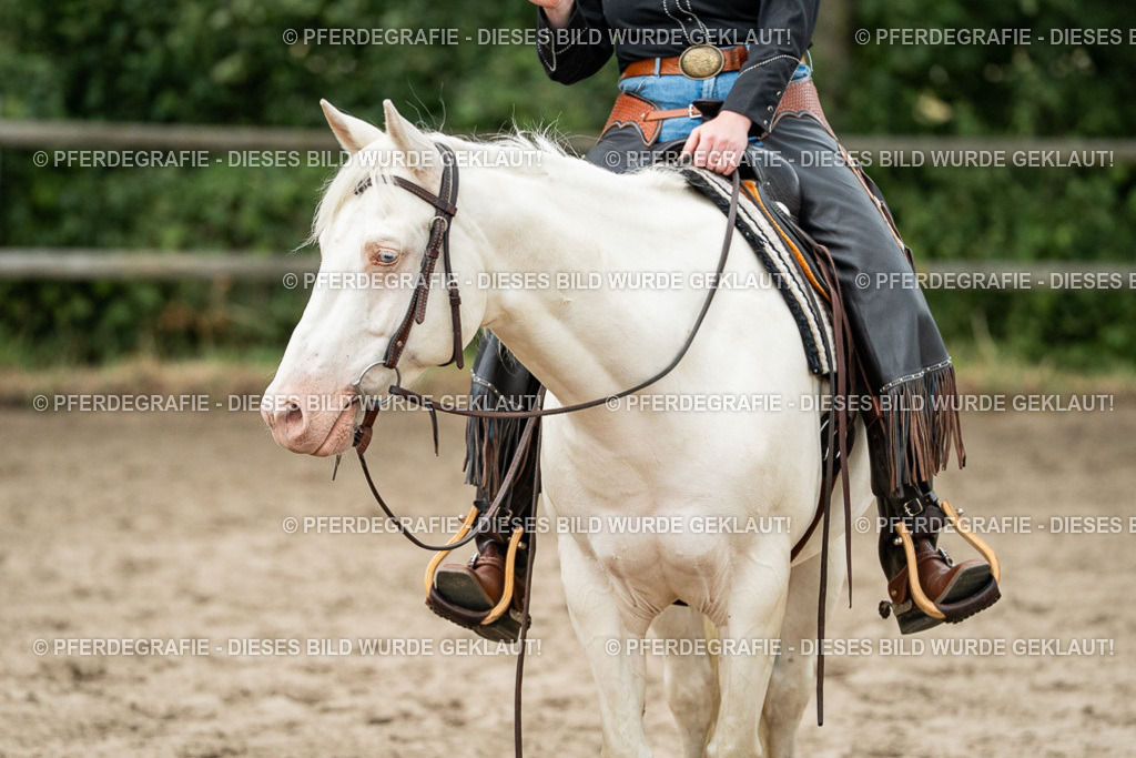 DSC03055 | Pferdegrafie