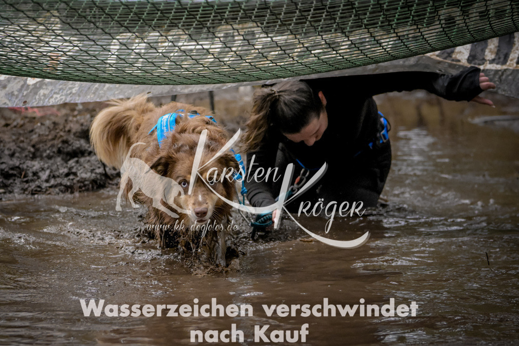1020_ZZ90719 | kk-dogfotos
