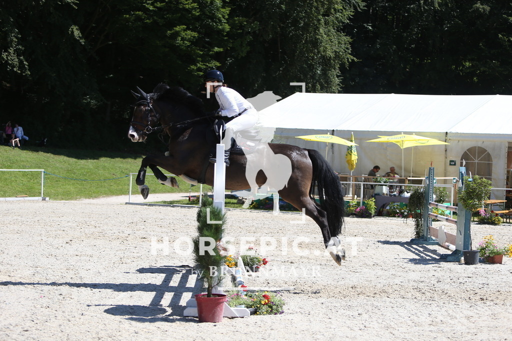 DL2Q2415 | Willkommen bei Brunnmayr - Design & Fotografie – Ihrem Spezialisten für Reitturniere und Pferdeveranstaltungen in Oberösterreich, Salzburg und Bayern! Seit über 17 Jahren sind wir leidenschaftlich dabei.