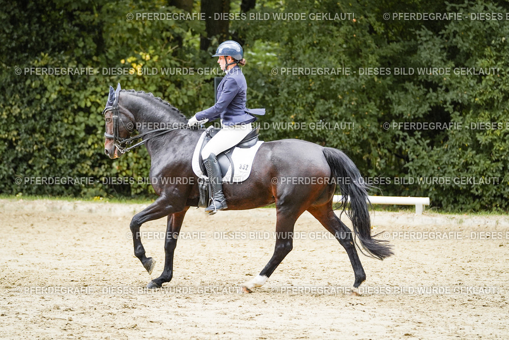 DSC06294 | Pferdegrafie