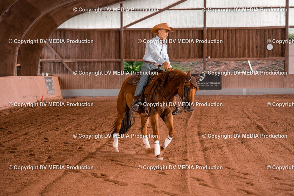 NE300827 | dv-media-shop - Realisiert mit Pictrs.com