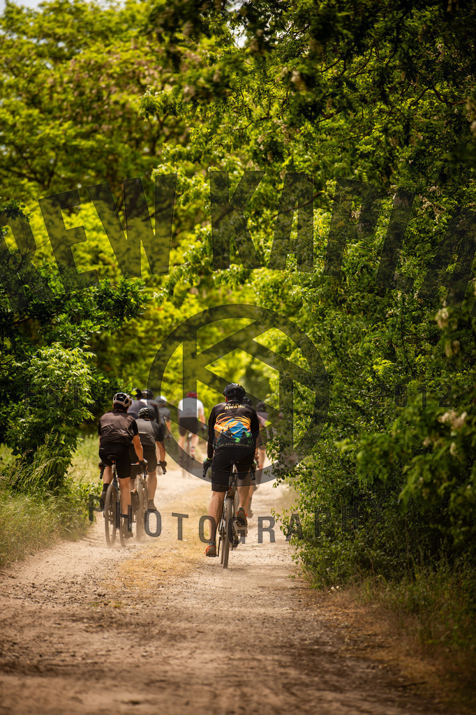 DKP-0096 | Drew Kaplan Photography