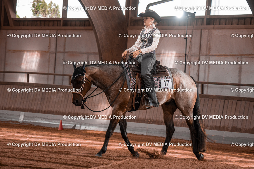 NE100321 | dv-media-shop - Realisiert mit Pictrs.com