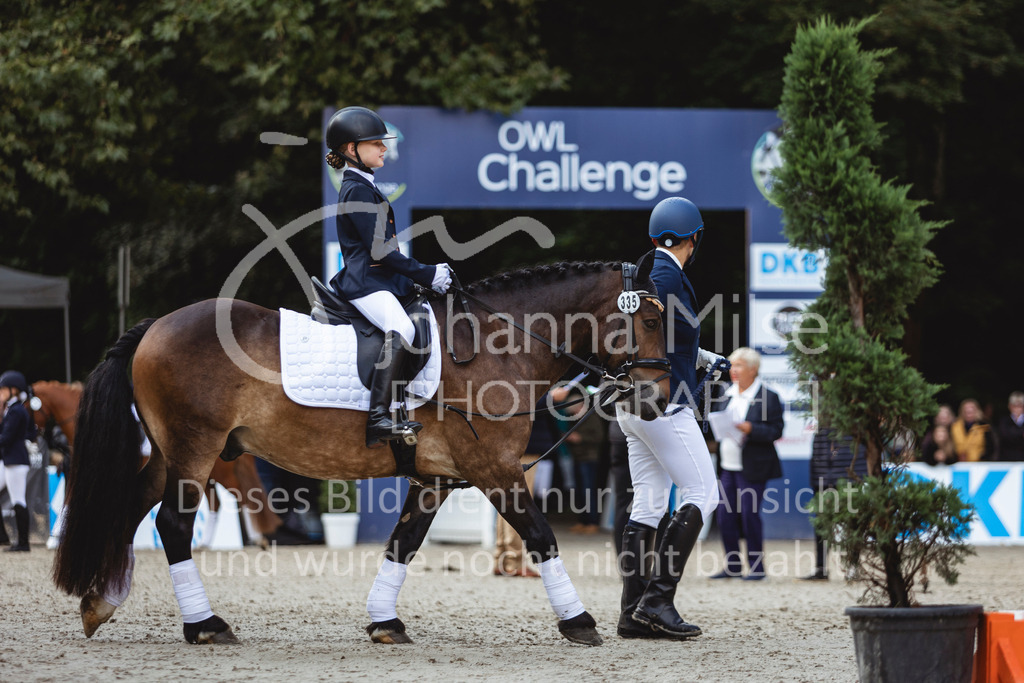 240915_OWLCh_FuehrzuegelWB-607 | Deine schönsten Turniermomente als professionelle Fotos! Entdecke hochwertige Pferdesport-Fotografie im Online-Shop. Jetzt Fotos finden & bestellen!