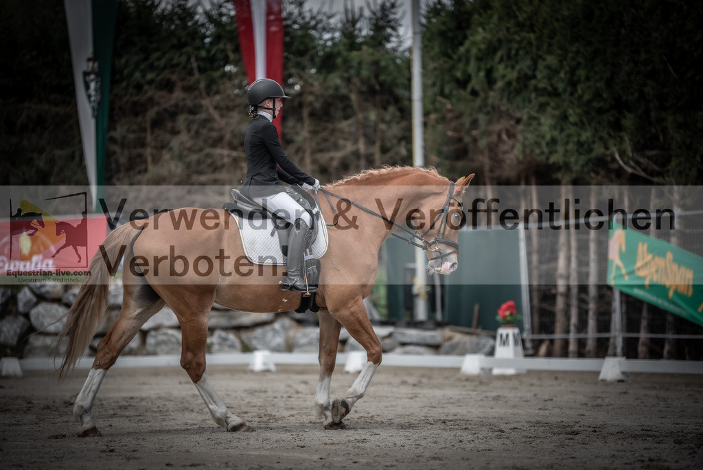 DSC_2755 | equestrian-live-com