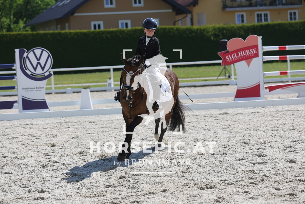 0P6A2516 | Willkommen bei Brunnmayr - Design & Fotografie – Ihrem Spezialisten für Reitturniere und Pferdeveranstaltungen in Oberösterreich, Salzburg und Bayern! Seit über 17 Jahren sind wir leidenschaftlich dabei.