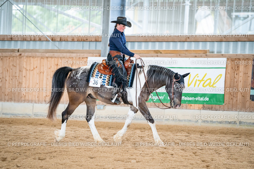 DSC02811 | Pferdegrafie