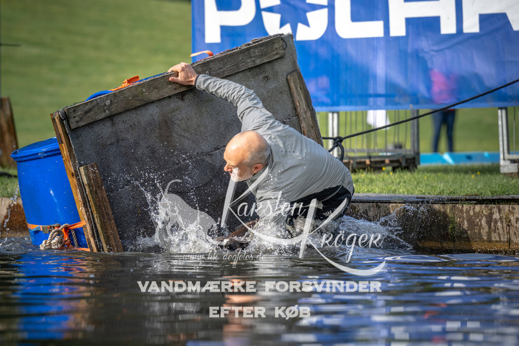 _ZZ935360706 | kk-dogfotos