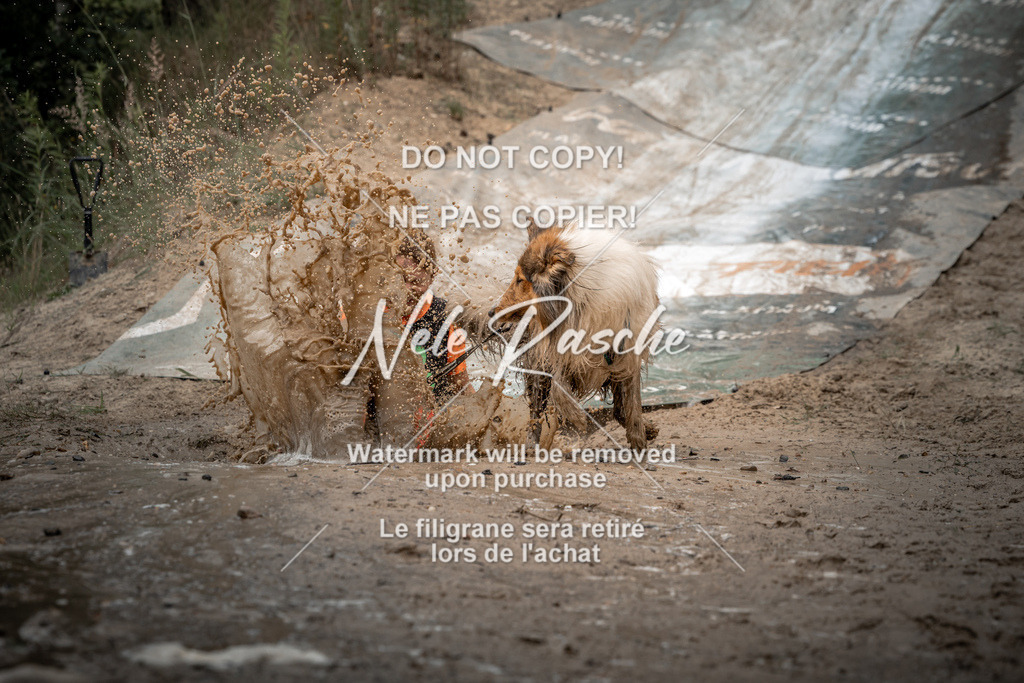 nelerasche_sa1700-Ende_19 | nelerasche