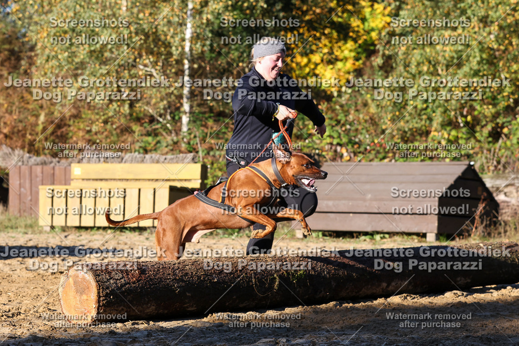Dog Paparazzi - Strongdog 10-25-1326 | Dog Paparazzi Jeanette Grottendiek Fotografie & Videografie - Realisiert mit Pictrs.com