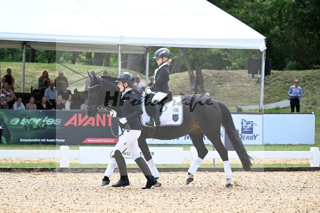 Nuernberger Burg Pokal Fuehrzuegelklasse_11256355 | hf-fotografie - Realizzato con Pictrs.com