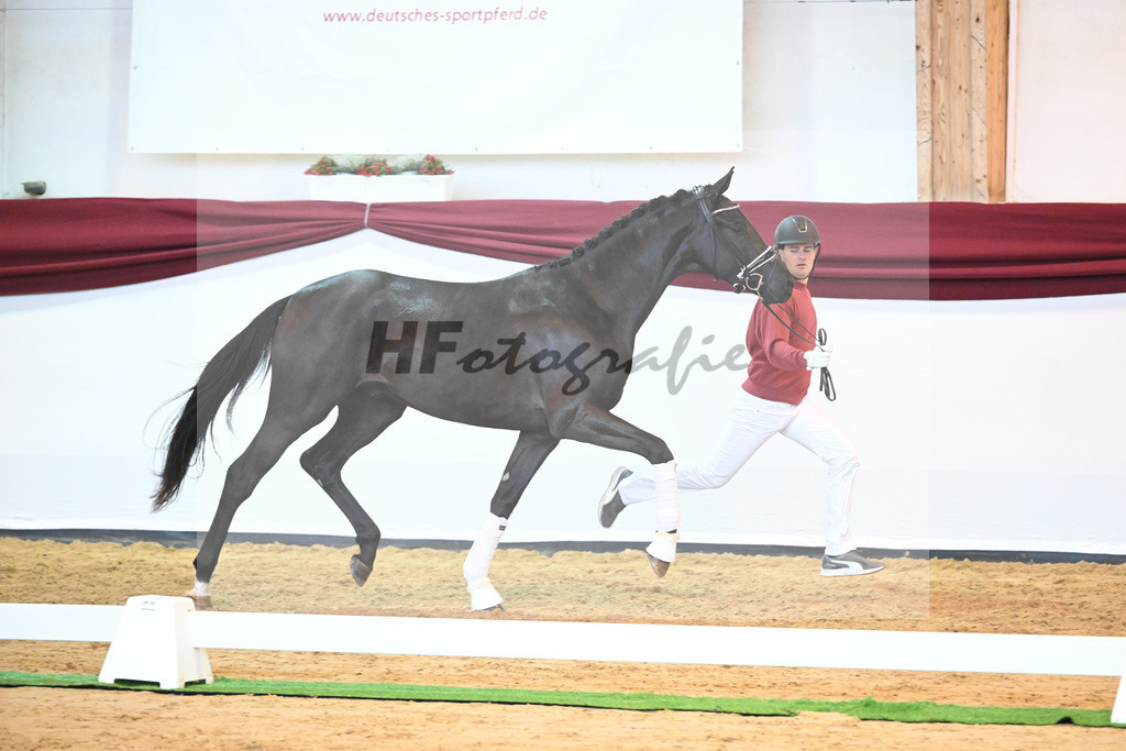Kat-Nr. 25 v. Donier_Koch_66220246 | hf-fotografie - Realisiert mit Pictrs.com