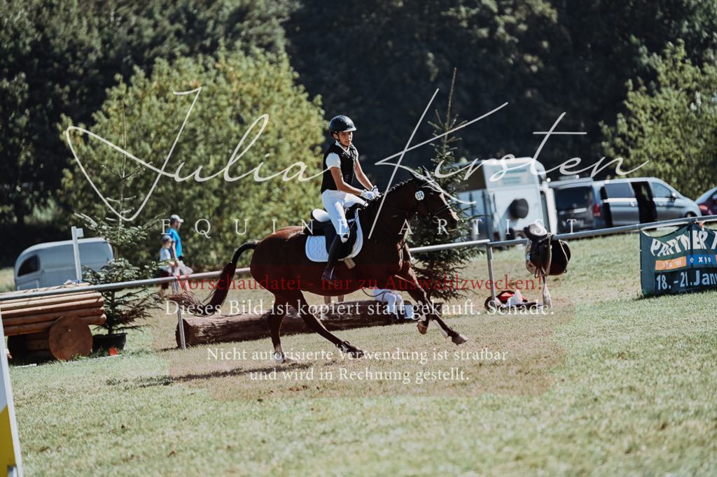 DSC_6813 | Pferde- und Turnierfotografie in Westsachsen. Pferdeportraits, Auftragszeichnungen und intuitive Kunst.