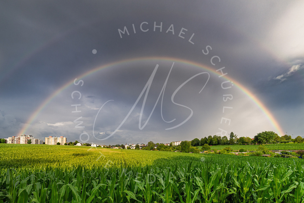 2025-07-07 Hemmingen Regenbogen Felder 001 | Schwotte Media - Realisiert mit Pictrs.com