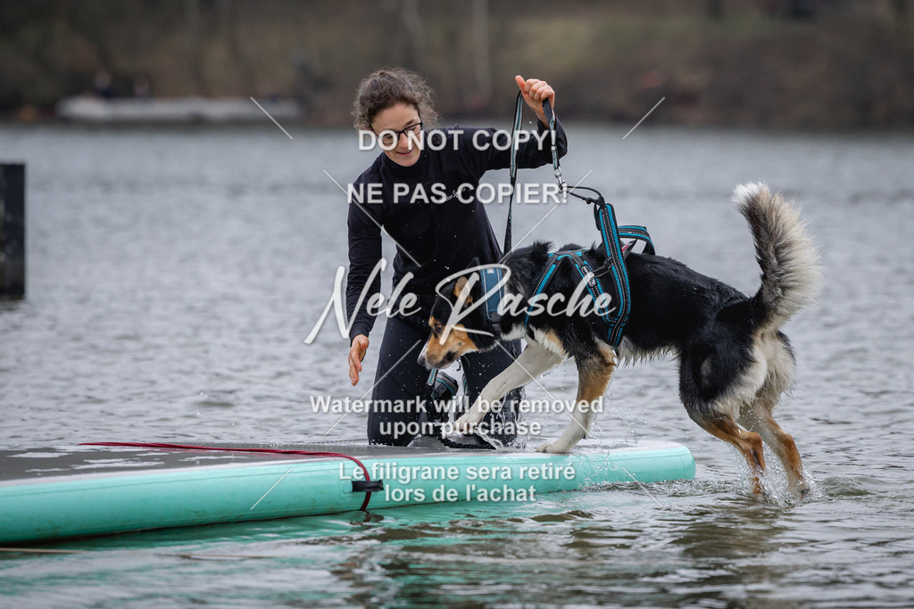 nelerasche_Hulsbeek_Sa1600-1700_147 | nelerasche