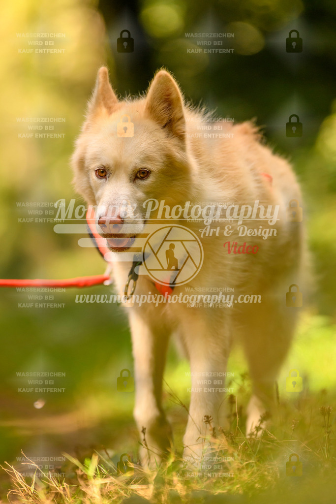 MompixPhotography_Yens2025_B3-6 | PayLife