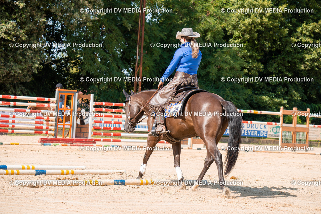 ZH100287 | dv-media-shop - Realisiert mit Pictrs.com