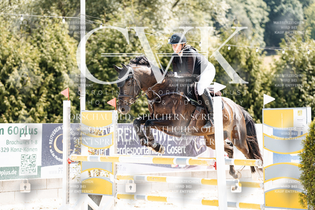 CK909294 | Turnierfotografie Pferdefotografie Trier Rheinland-Pfalz Pferdesport Reitsport Tierfotografie Sportfotografie Pferdevideo Pferdevideografie Equestrianvideography equestrianphotography  - Realisiert mit Pictrs.com