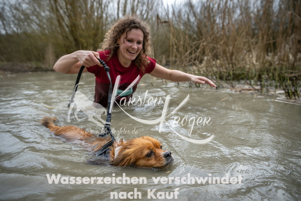 1502_ZZ91811 | kk-dogfotos