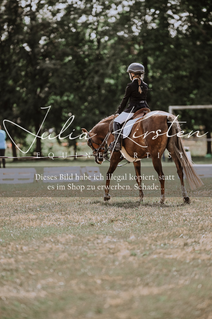 DSC_7599 | Pferde- und Turnierfotografie in Westsachsen. Pferdeportraits, Auftragszeichnungen und intuitive Kunst.