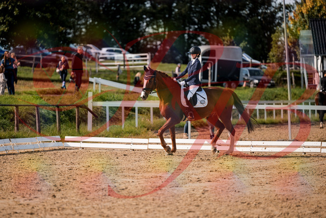 2026_10_03_Siefer-Hof_123525_Z63_53467546 | Professionelle Reitsport-, Turnier- und Eventfotografie von Robert Broda. Galerien mit ausgewählten und bearbeiteten Bildern direkt online ansehen und bestellen.