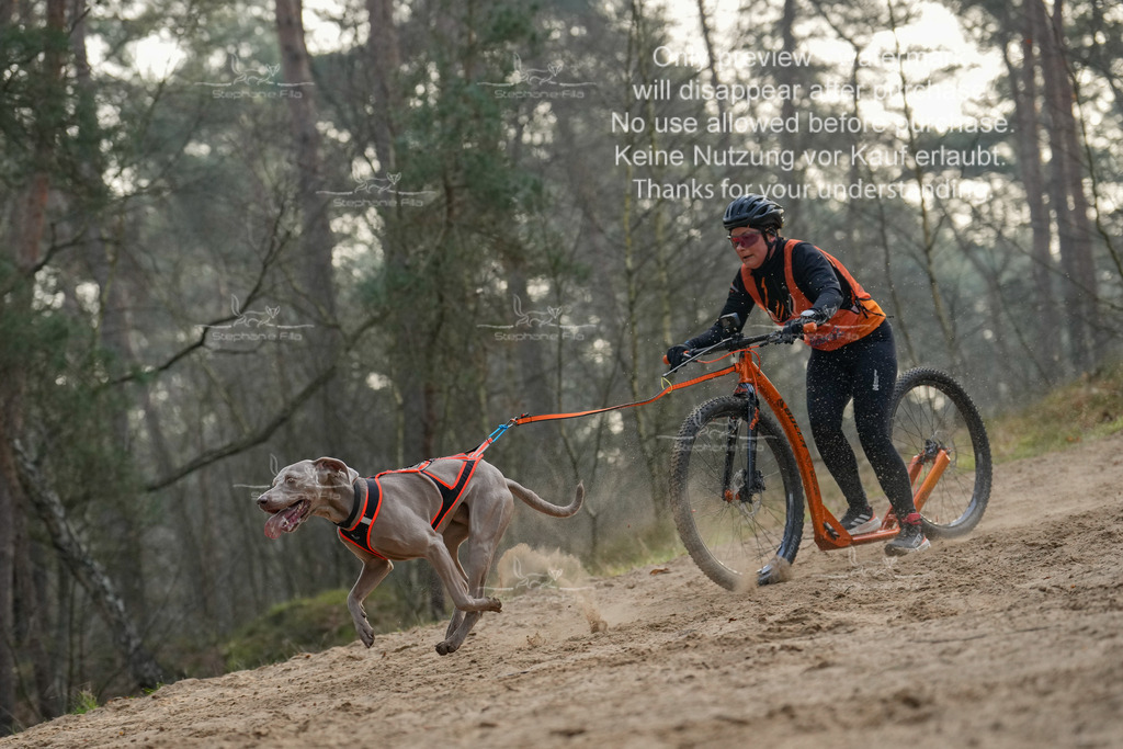 Scooter1-174 | stephaniefillaphotographie - Realisiert mit Pictrs.com